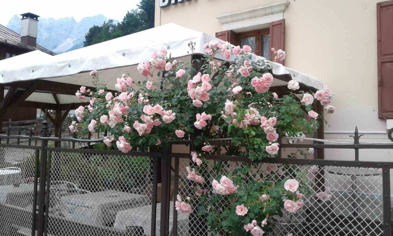 Hotel Brustolon Dont Bagian luar foto